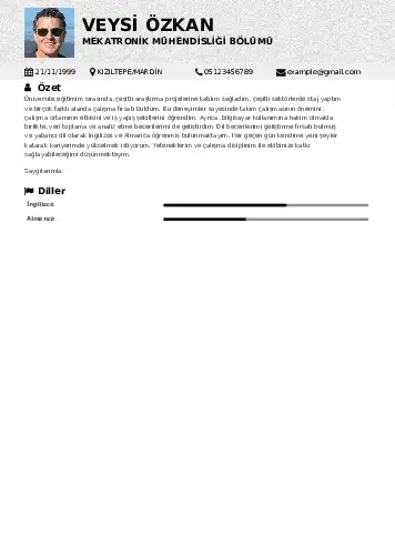 Mekatronik Mühendisliği Cv Örnekleri cv indir